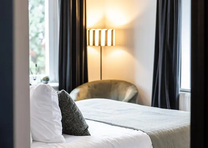 V - Petit 法尔肯堡