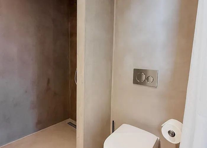 V - Petit 法尔肯堡