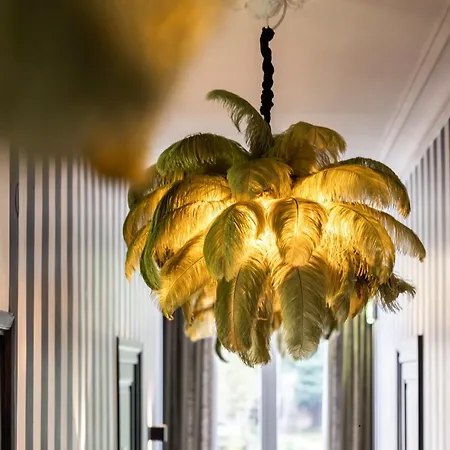 V - Petit Nocleg ze śniadaniem